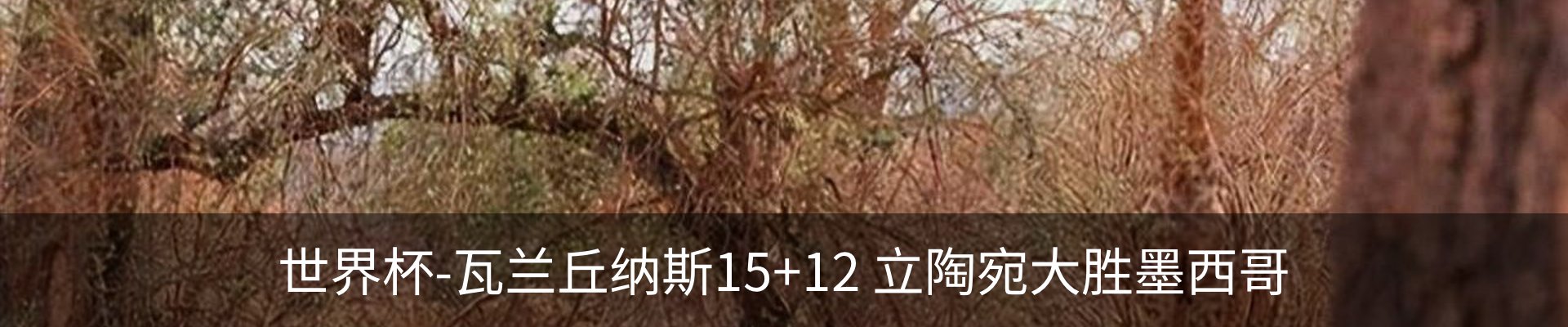 行业资讯