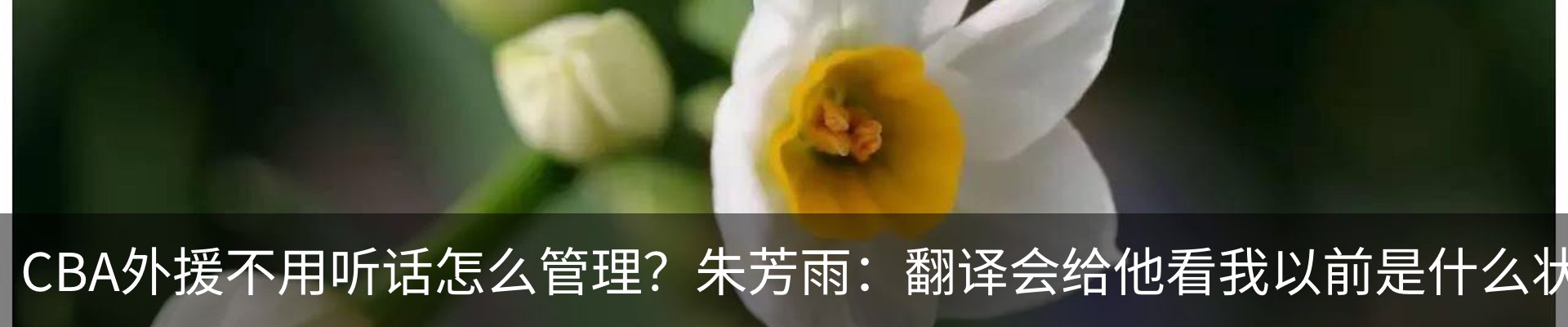 行业资讯